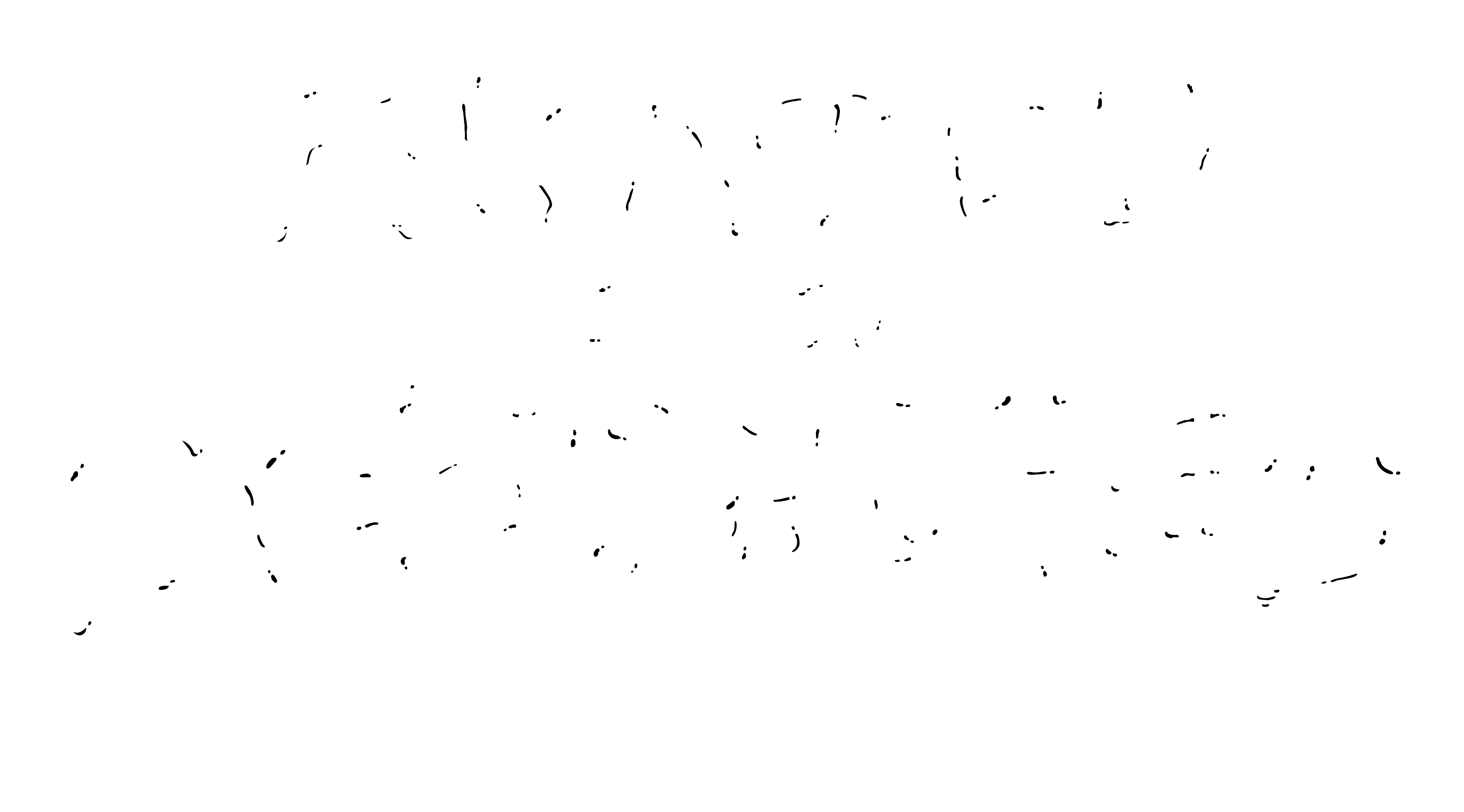 Skated and Destroyed